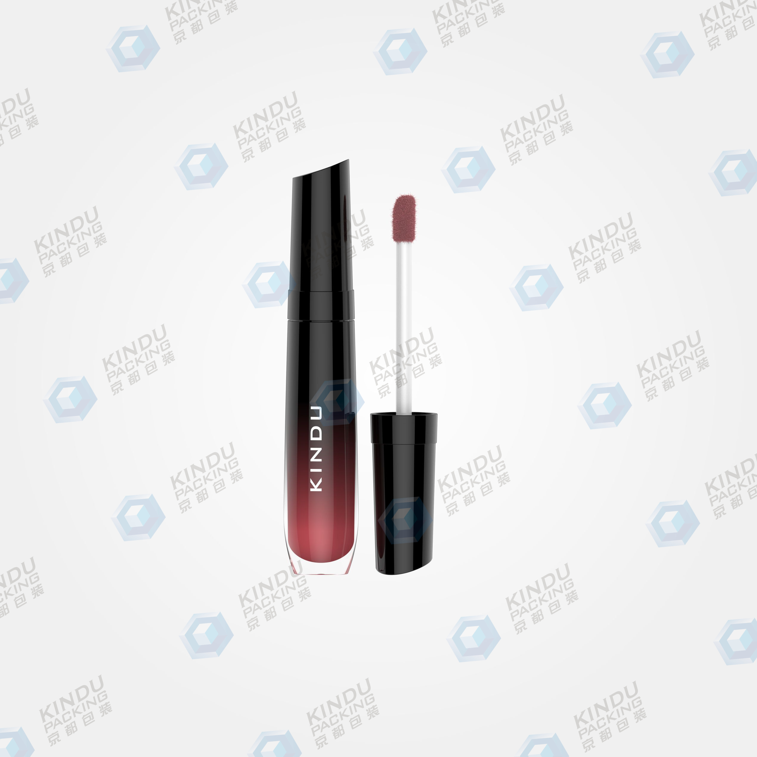 Customized lip gloss Pack (ZH-J0276)